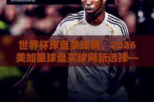 世界杯球盘买球网,2026美加墨球盘买球网新选择——“bt888球盘站”深度解析 世界杯球盘买球网,2026美加墨球盘买球网新选择——“bt888球盘站”深度解析