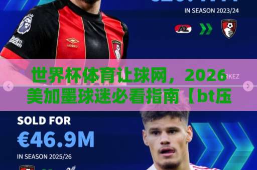 世界杯体育让球网，2026美加墨球迷必看指南【bt压球网】玩法全解析