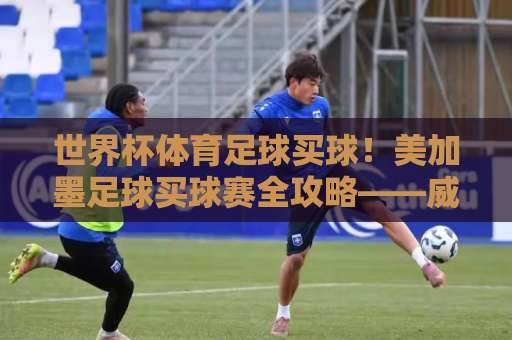 世界杯体育足球买球！美加墨足球买球赛全攻略——威廉希尔买球站专业评测与选择