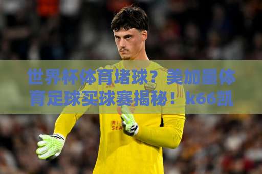 世界杯体育堵球？美加墨体育足球买球赛揭秘！k66凯时买球风险与合法途径全解析