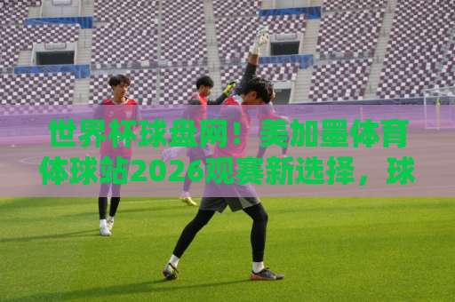 世界杯球盘网！美加墨体育体球站2026观赛新选择，球友会买球网避坑指南