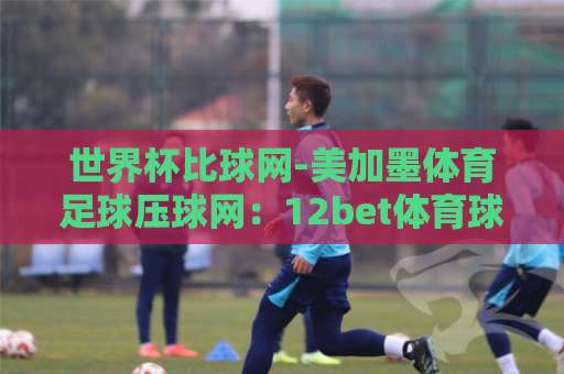 世界杯比球网-美加墨体育足球压球网：12bet体育球盘买球网2026实战指南