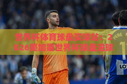 世界杯体育球盘买球站：2026美加墨世界杯球盘进球攻略【bet16足球站】推荐