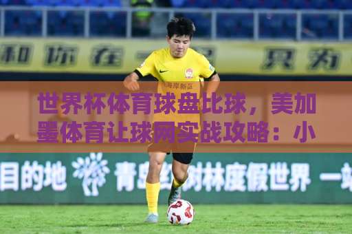 世界杯体育球盘比球，美加墨体育让球网实战攻略：小金体育买球如何提升胜率？