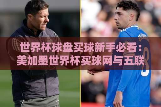 世界杯球盘买球新手必看：美加墨世界杯买球网与五联赛买球网玩法全解析【2026实战指南】