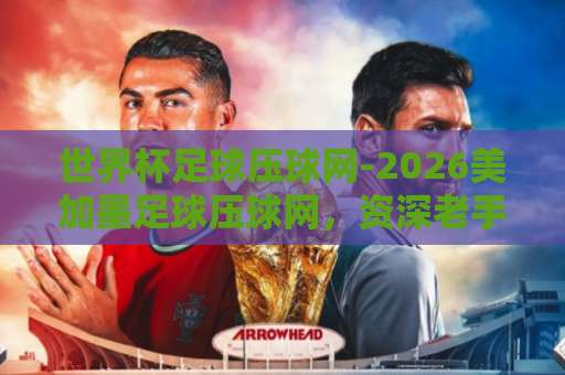 世界杯足球压球网-2026美加墨足球压球网，资深老手都在用！【bt888买球站】深度测评来了