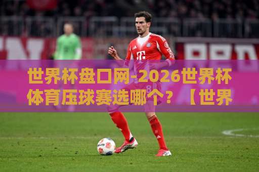 世界杯盘口网-2026世界杯体育压球赛选哪个？【世界杯盘口网】实用指南