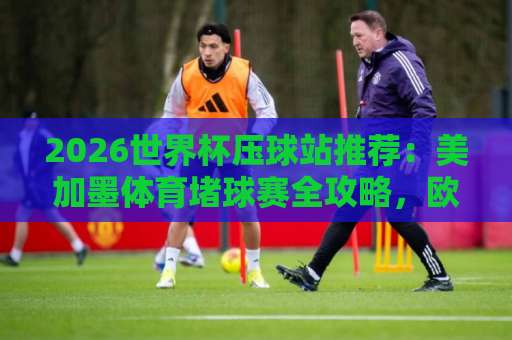 2026世界杯压球站推荐：美加墨体育堵球赛全攻略，欧宝买球网靠谱吗？