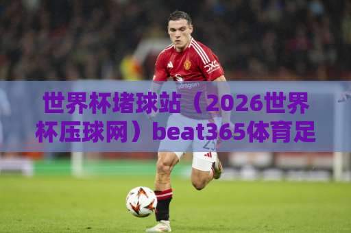 世界杯堵球站（2026世界杯压球网）beat365体育足球买球网：2026年投注平台实用对比
